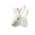 Head rabbit white Alice