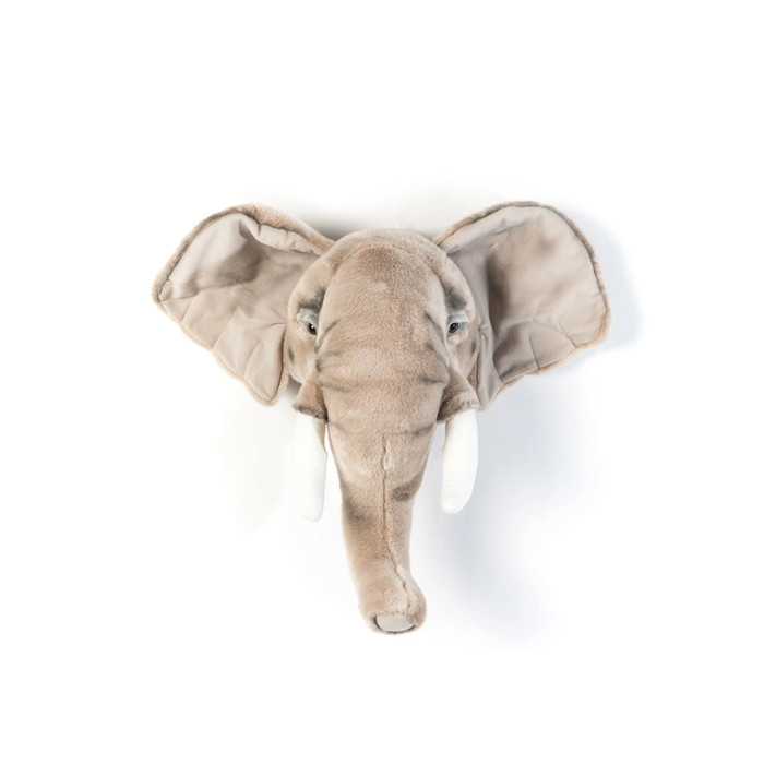 Head elephant George