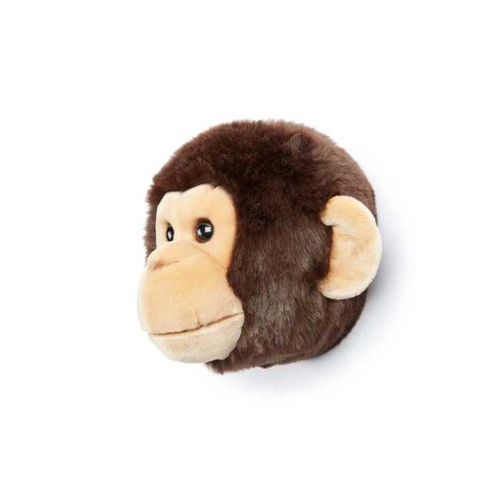Head monkey Joe