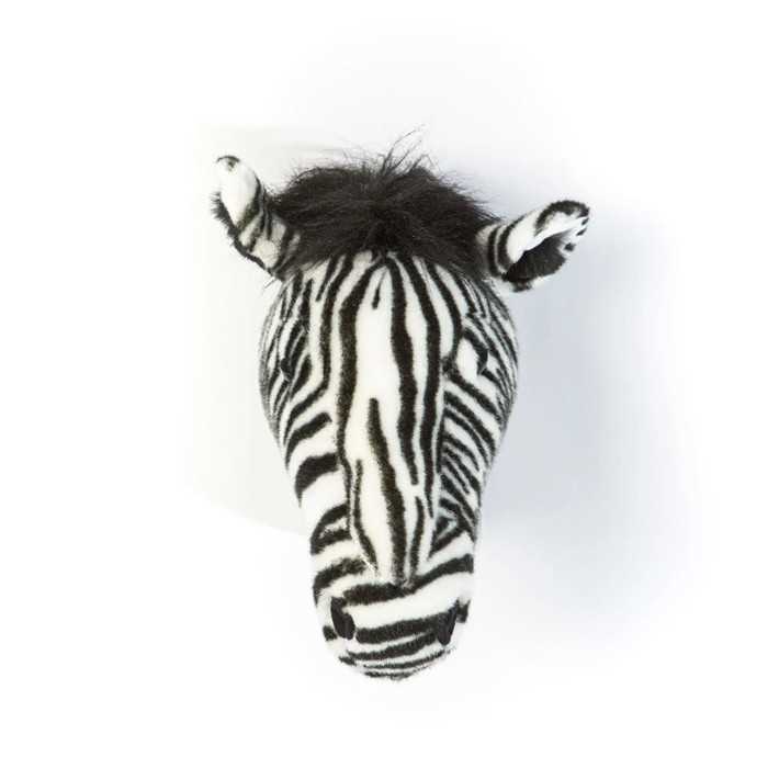 Head zebra Daniel
