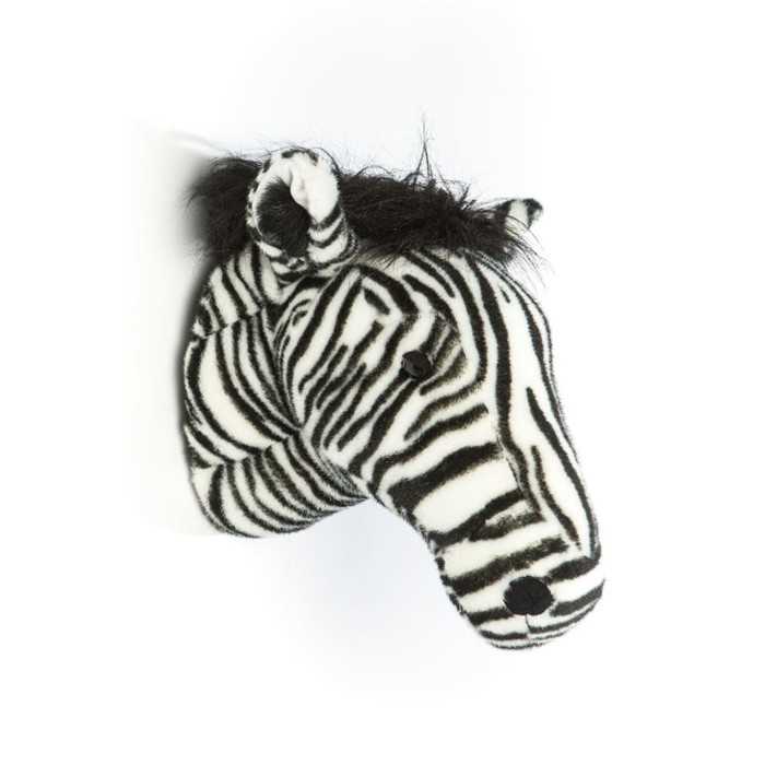 Head zebra Daniel
