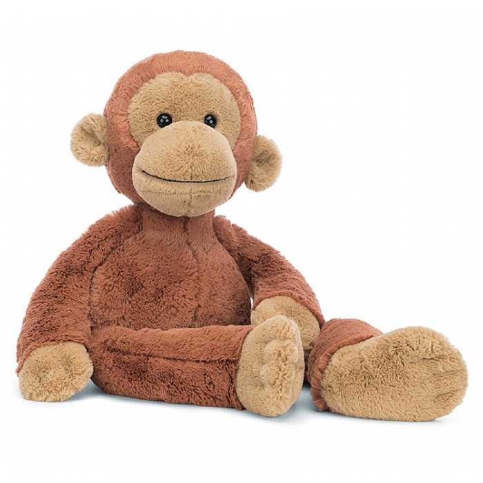 Pongo  Orangutan